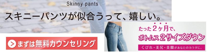 �������_�C�G�b�g B CONCEPT���T�C�g